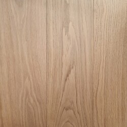 Transparent-white 3040